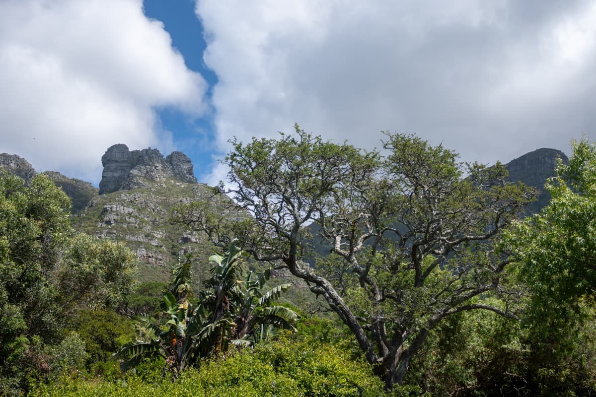 Cape Town - Image 24