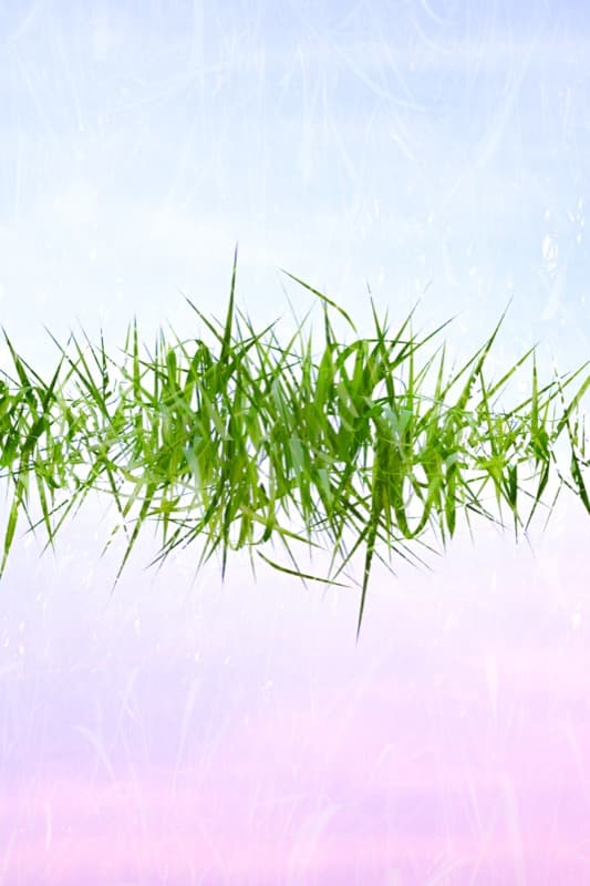 Floating series cover