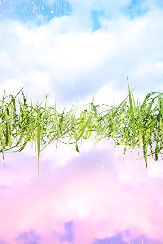 Floating Nature - Image 2