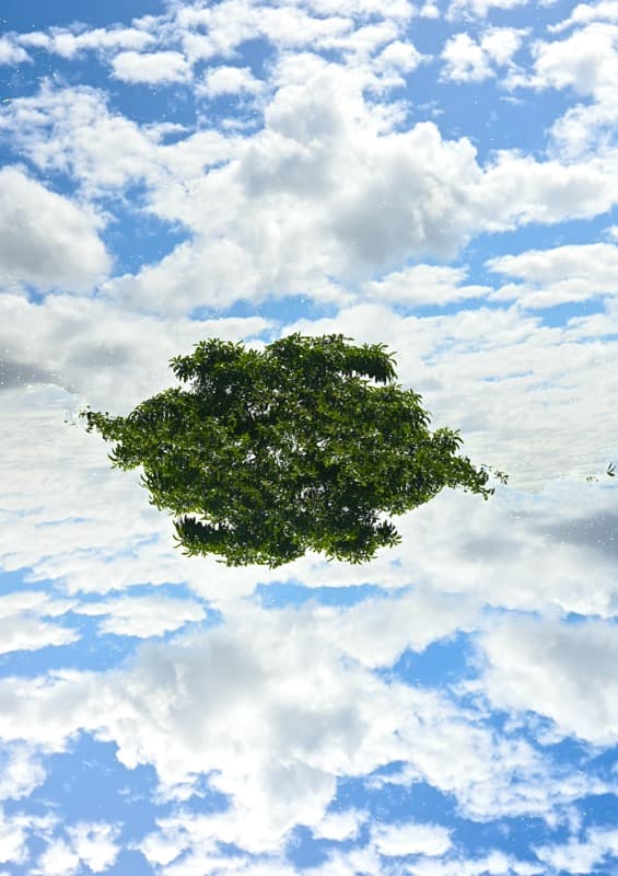 Floating Nature - Image 5