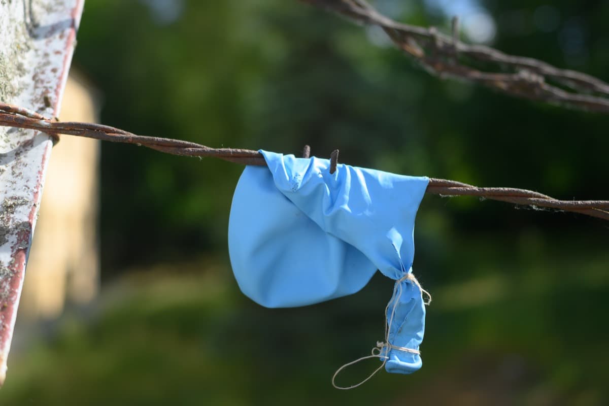 Fun Is Over - Image 3