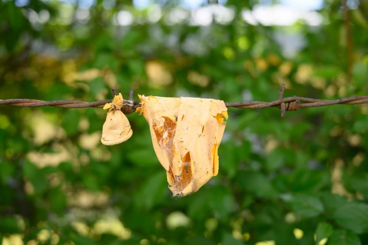 Fun Is Over - Image 5