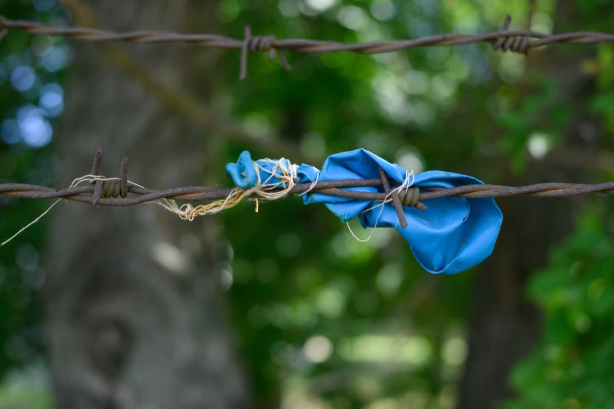 Fun Is Over - Image 6